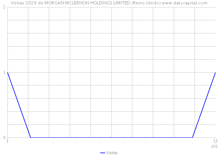 Visitas 2024 de MORGAN MCLERNON HOLDINGS LIMITED (Reino Unido) 