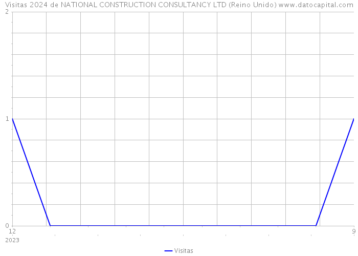 Visitas 2024 de NATIONAL CONSTRUCTION CONSULTANCY LTD (Reino Unido) 