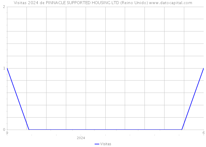 Visitas 2024 de PINNACLE SUPPORTED HOUSING LTD (Reino Unido) 