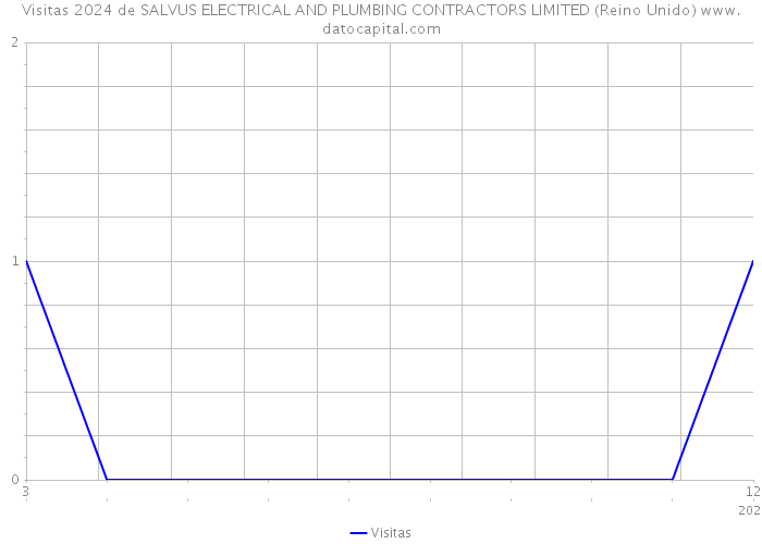 Visitas 2024 de SALVUS ELECTRICAL AND PLUMBING CONTRACTORS LIMITED (Reino Unido) 