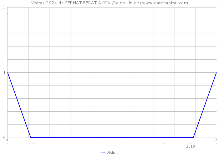 Visitas 2024 de SERHAT BERAT AKCA (Reino Unido) 