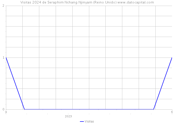 Visitas 2024 de Seraphim Nchang Njinyam (Reino Unido) 