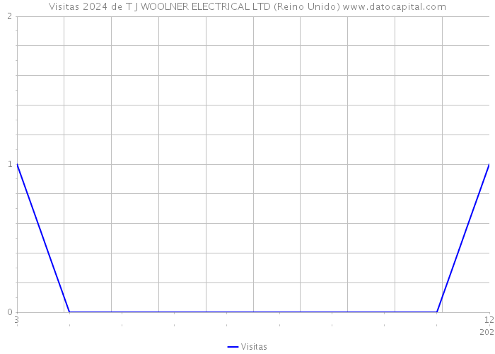 Visitas 2024 de T J WOOLNER ELECTRICAL LTD (Reino Unido) 