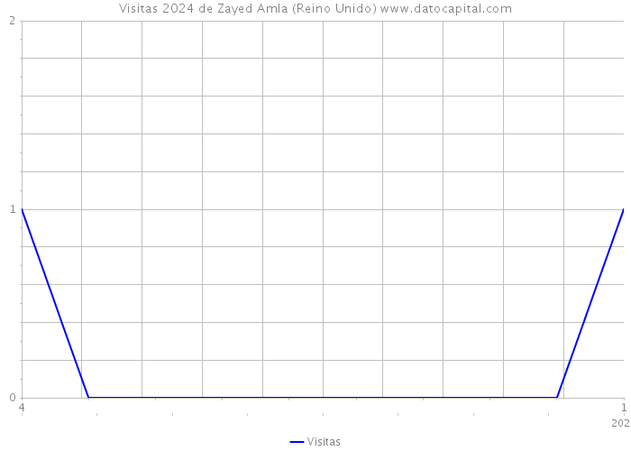 Visitas 2024 de Zayed Amla (Reino Unido) 