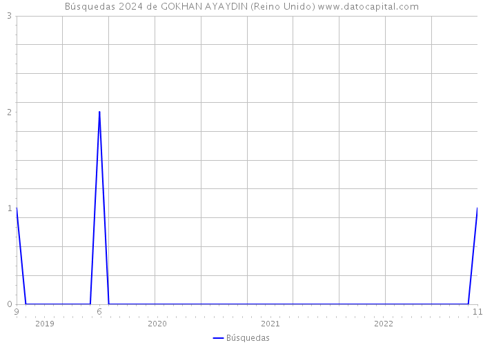 Búsquedas 2024 de GOKHAN AYAYDIN (Reino Unido) 