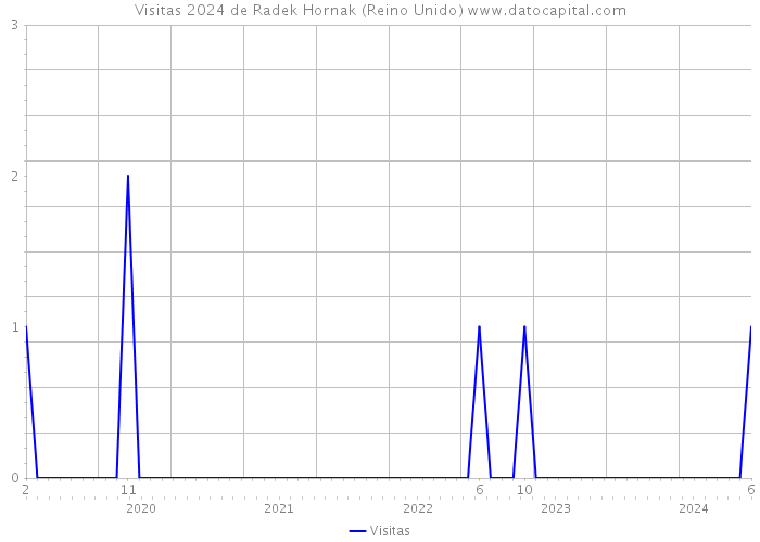 Visitas 2024 de Radek Hornak (Reino Unido) 