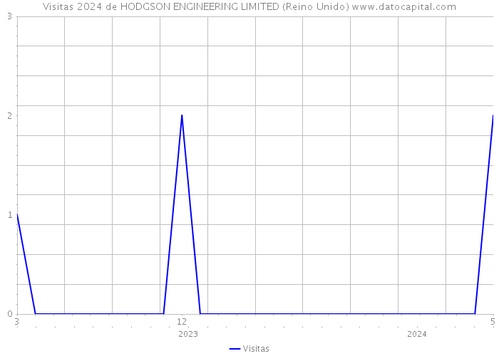 Visitas 2024 de HODGSON ENGINEERING LIMITED (Reino Unido) 