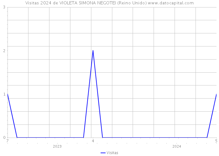 Visitas 2024 de VIOLETA SIMONA NEGOTEI (Reino Unido) 