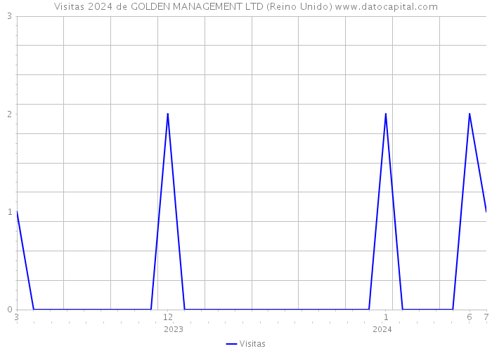 Visitas 2024 de GOLDEN MANAGEMENT LTD (Reino Unido) 