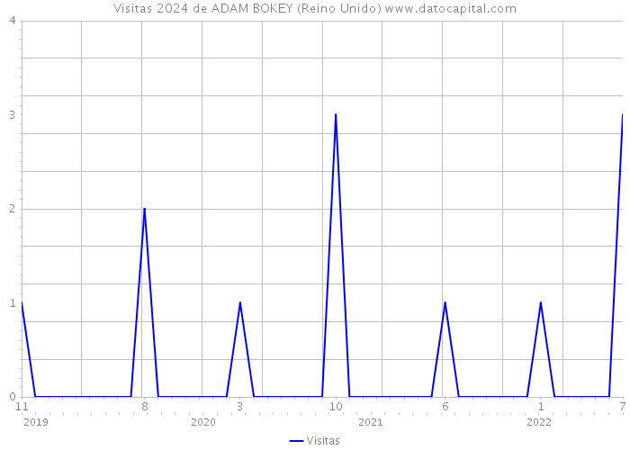 Visitas 2024 de ADAM BOKEY (Reino Unido) 