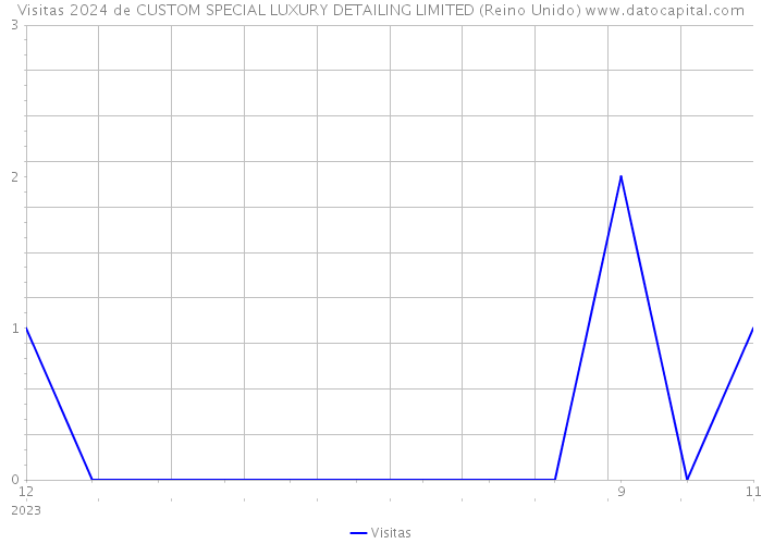 Visitas 2024 de CUSTOM SPECIAL LUXURY DETAILING LIMITED (Reino Unido) 