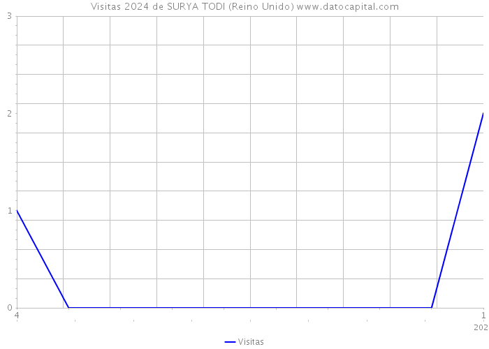 Visitas 2024 de SURYA TODI (Reino Unido) 