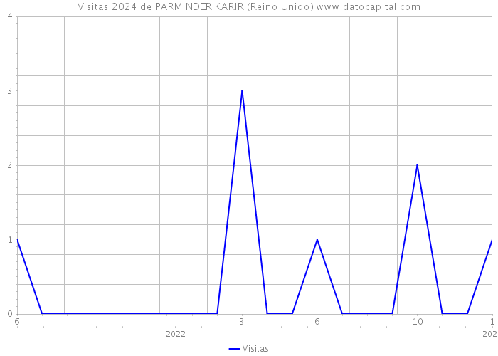 Visitas 2024 de PARMINDER KARIR (Reino Unido) 