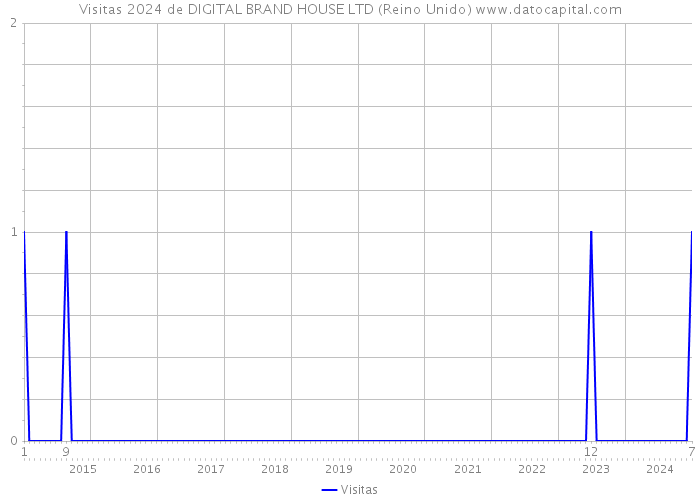 Visitas 2024 de DIGITAL BRAND HOUSE LTD (Reino Unido) 