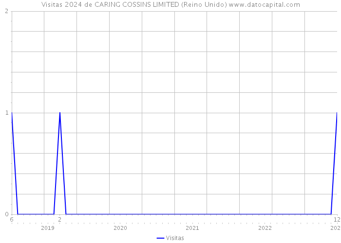 Visitas 2024 de CARING COSSINS LIMITED (Reino Unido) 