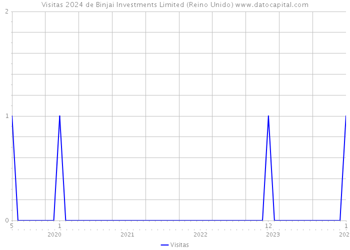 Visitas 2024 de Binjai Investments Limited (Reino Unido) 