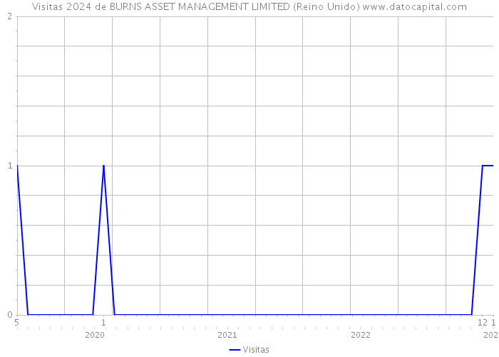 Visitas 2024 de BURNS ASSET MANAGEMENT LIMITED (Reino Unido) 