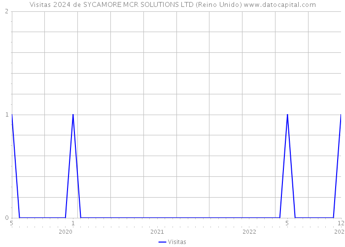 Visitas 2024 de SYCAMORE MCR SOLUTIONS LTD (Reino Unido) 