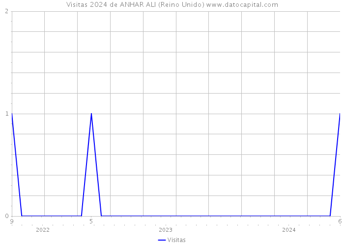 Visitas 2024 de ANHAR ALI (Reino Unido) 