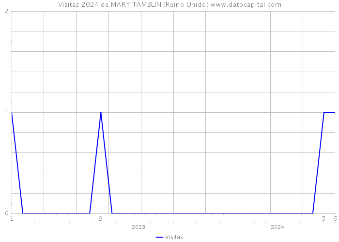 Visitas 2024 de MARY TAMBLIN (Reino Unido) 