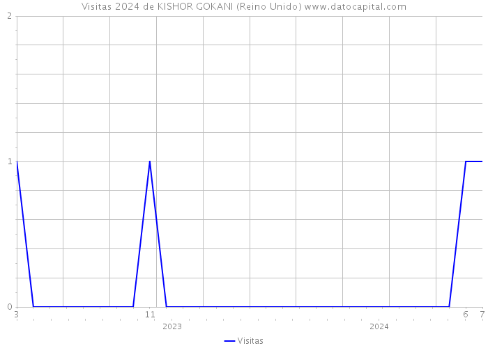 Visitas 2024 de KISHOR GOKANI (Reino Unido) 