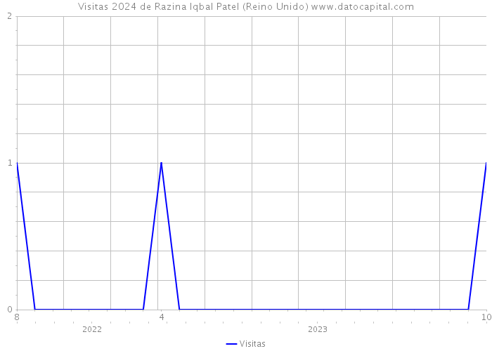 Visitas 2024 de Razina Iqbal Patel (Reino Unido) 