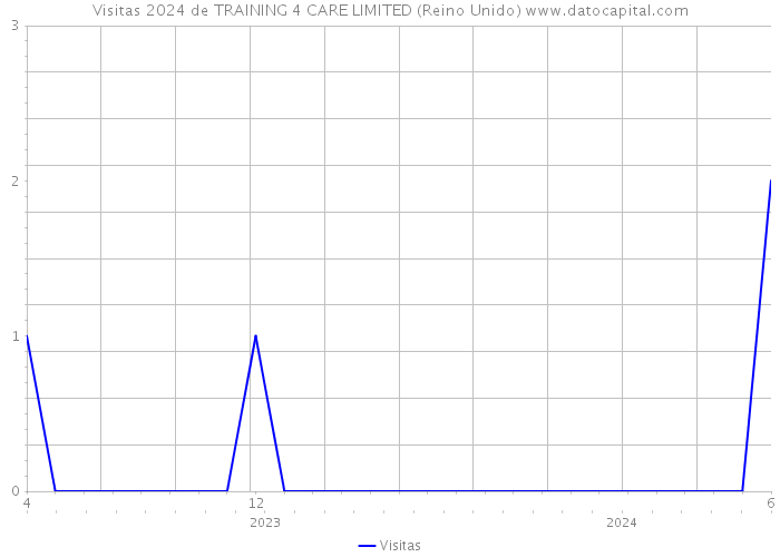 Visitas 2024 de TRAINING 4 CARE LIMITED (Reino Unido) 