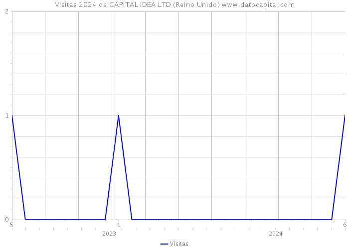 Visitas 2024 de CAPITAL IDEA LTD (Reino Unido) 