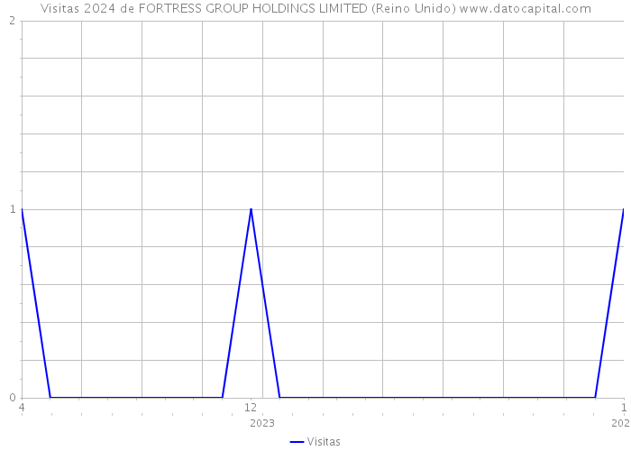 Visitas 2024 de FORTRESS GROUP HOLDINGS LIMITED (Reino Unido) 