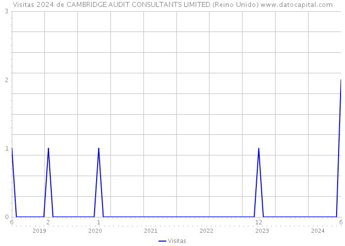 Visitas 2024 de CAMBRIDGE AUDIT CONSULTANTS LIMITED (Reino Unido) 