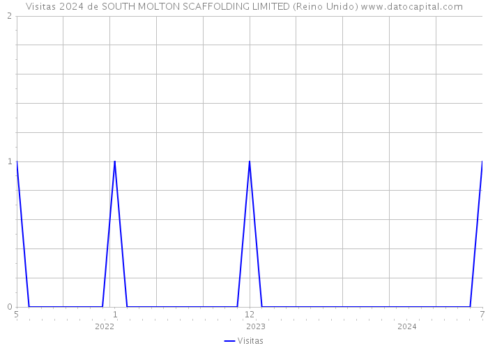 Visitas 2024 de SOUTH MOLTON SCAFFOLDING LIMITED (Reino Unido) 