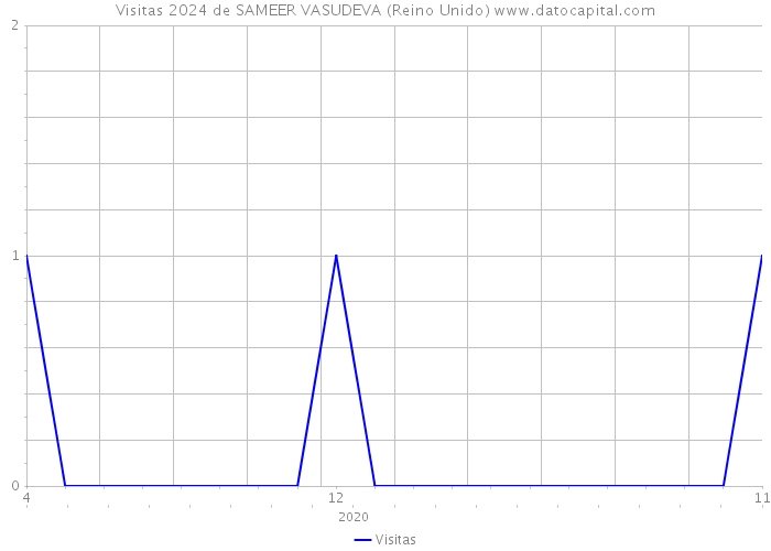 Visitas 2024 de SAMEER VASUDEVA (Reino Unido) 