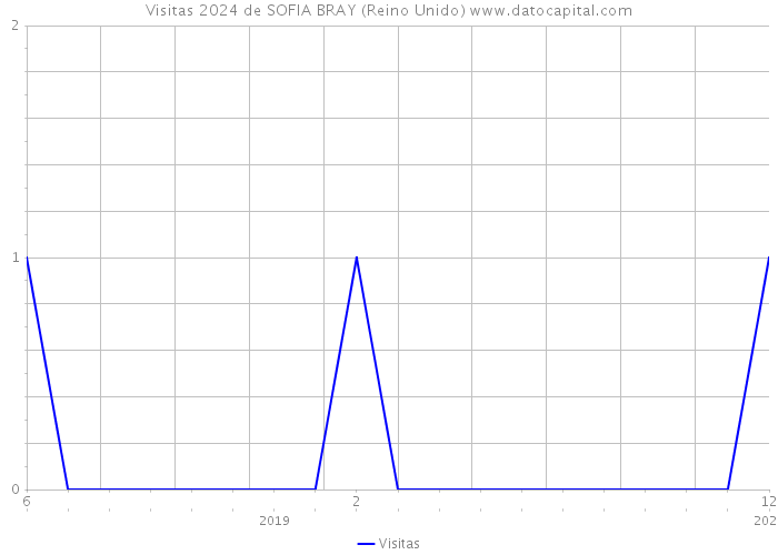 Visitas 2024 de SOFIA BRAY (Reino Unido) 