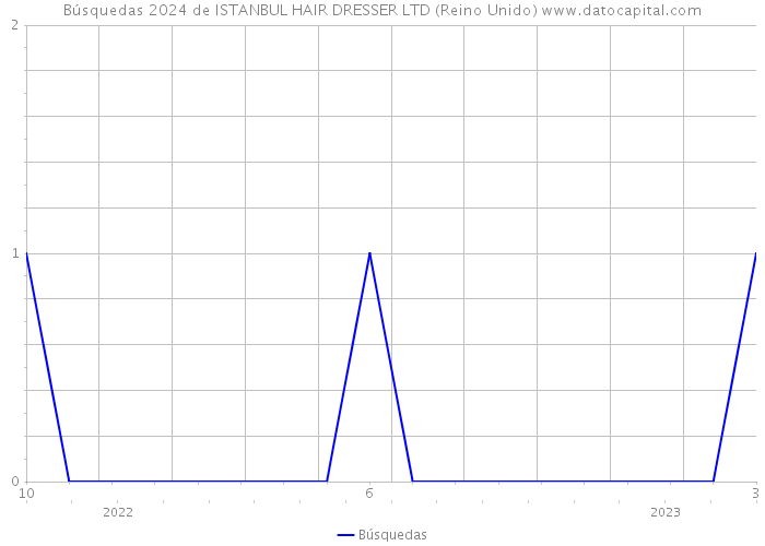Búsquedas 2024 de ISTANBUL HAIR DRESSER LTD (Reino Unido) 
