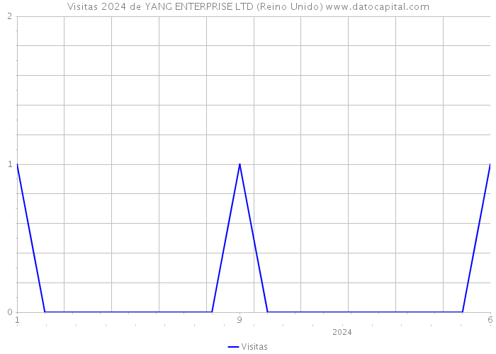 Visitas 2024 de YANG ENTERPRISE LTD (Reino Unido) 