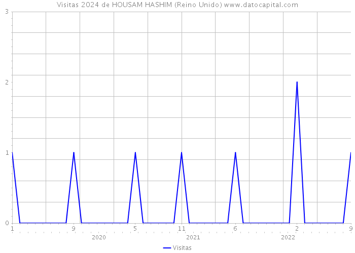 Visitas 2024 de HOUSAM HASHIM (Reino Unido) 