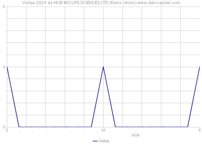 Visitas 2024 de HIVE BIO LIFE SCIENCES LTD (Reino Unido) 