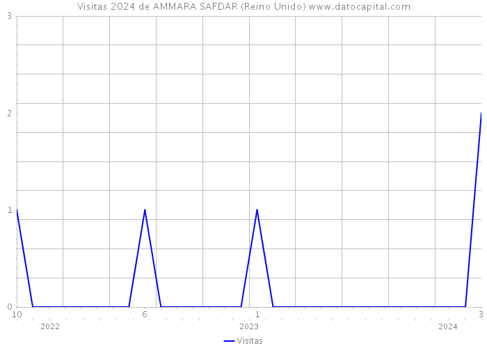 Visitas 2024 de AMMARA SAFDAR (Reino Unido) 