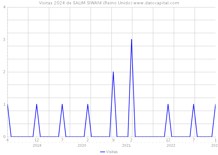 Visitas 2024 de SALIM SIWANI (Reino Unido) 