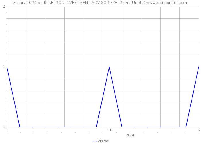 Visitas 2024 de BLUE IRON INVESTMENT ADVISOR FZE (Reino Unido) 