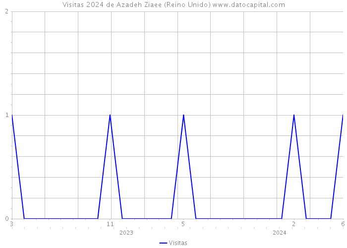 Visitas 2024 de Azadeh Ziaee (Reino Unido) 