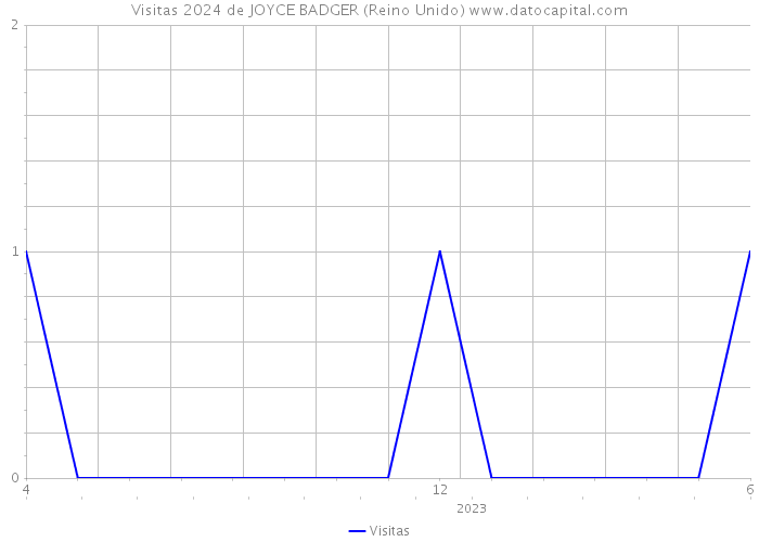 Visitas 2024 de JOYCE BADGER (Reino Unido) 