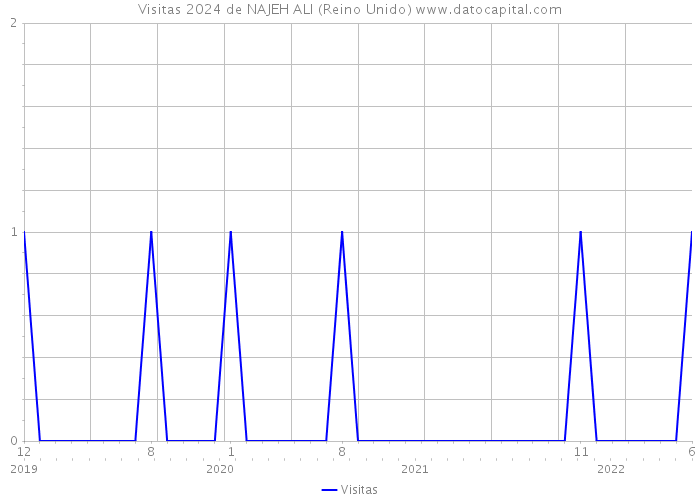 Visitas 2024 de NAJEH ALI (Reino Unido) 