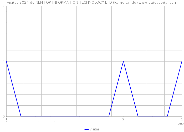 Visitas 2024 de NEN FOR INFORMATION TECHNOLOGY LTD (Reino Unido) 