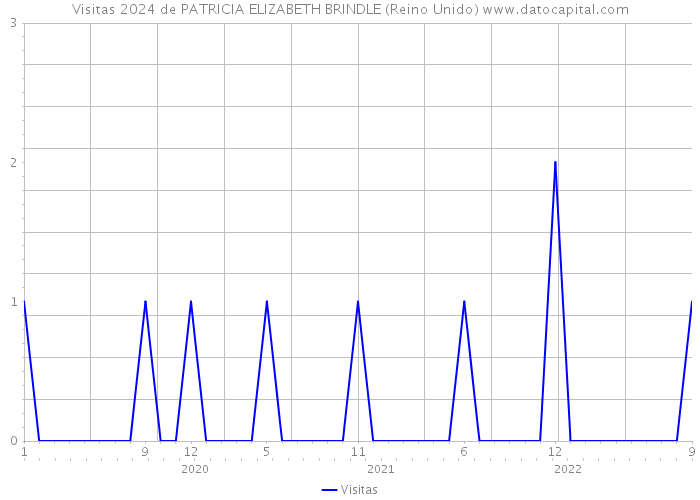 Visitas 2024 de PATRICIA ELIZABETH BRINDLE (Reino Unido) 