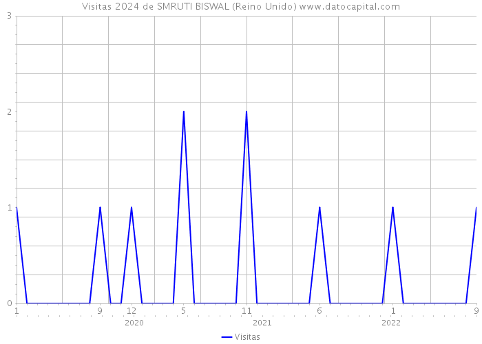 Visitas 2024 de SMRUTI BISWAL (Reino Unido) 