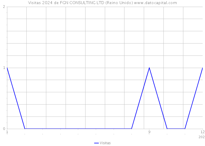 Visitas 2024 de FGN CONSULTING LTD (Reino Unido) 