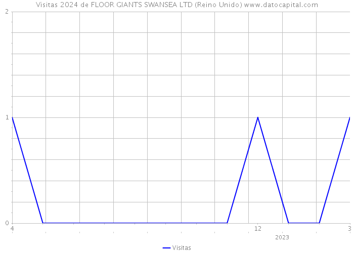 Visitas 2024 de FLOOR GIANTS SWANSEA LTD (Reino Unido) 