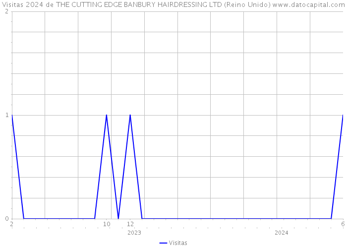 Visitas 2024 de THE CUTTING EDGE BANBURY HAIRDRESSING LTD (Reino Unido) 