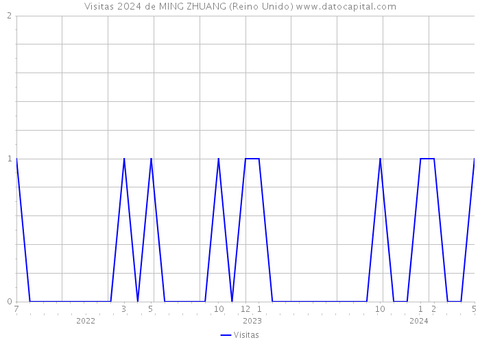 Visitas 2024 de MING ZHUANG (Reino Unido) 